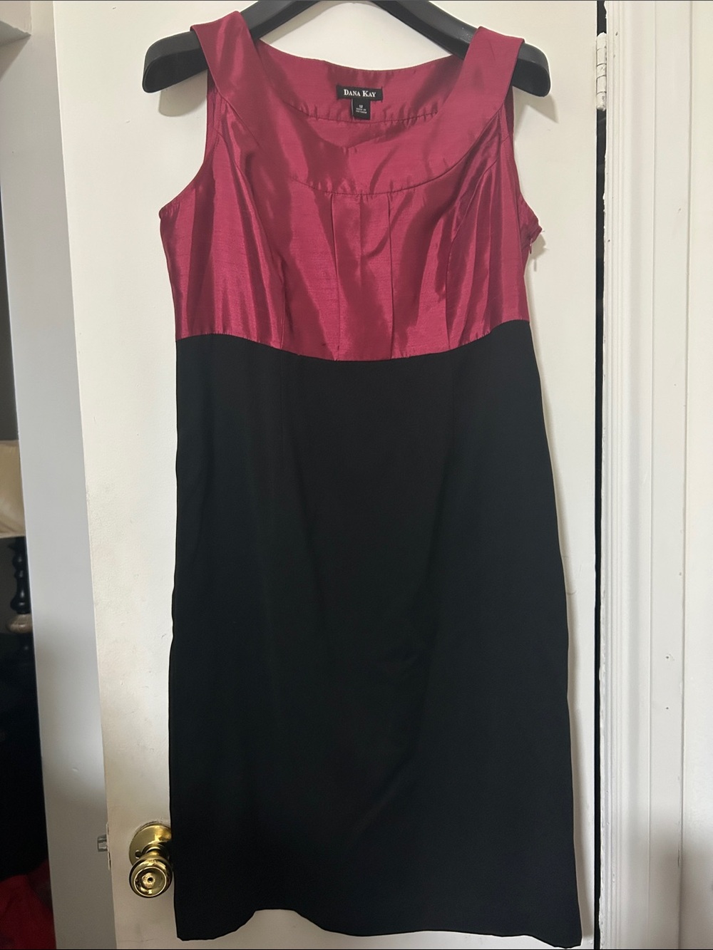 Dana Kay Berry and Black Sleeveless Sheath Dress